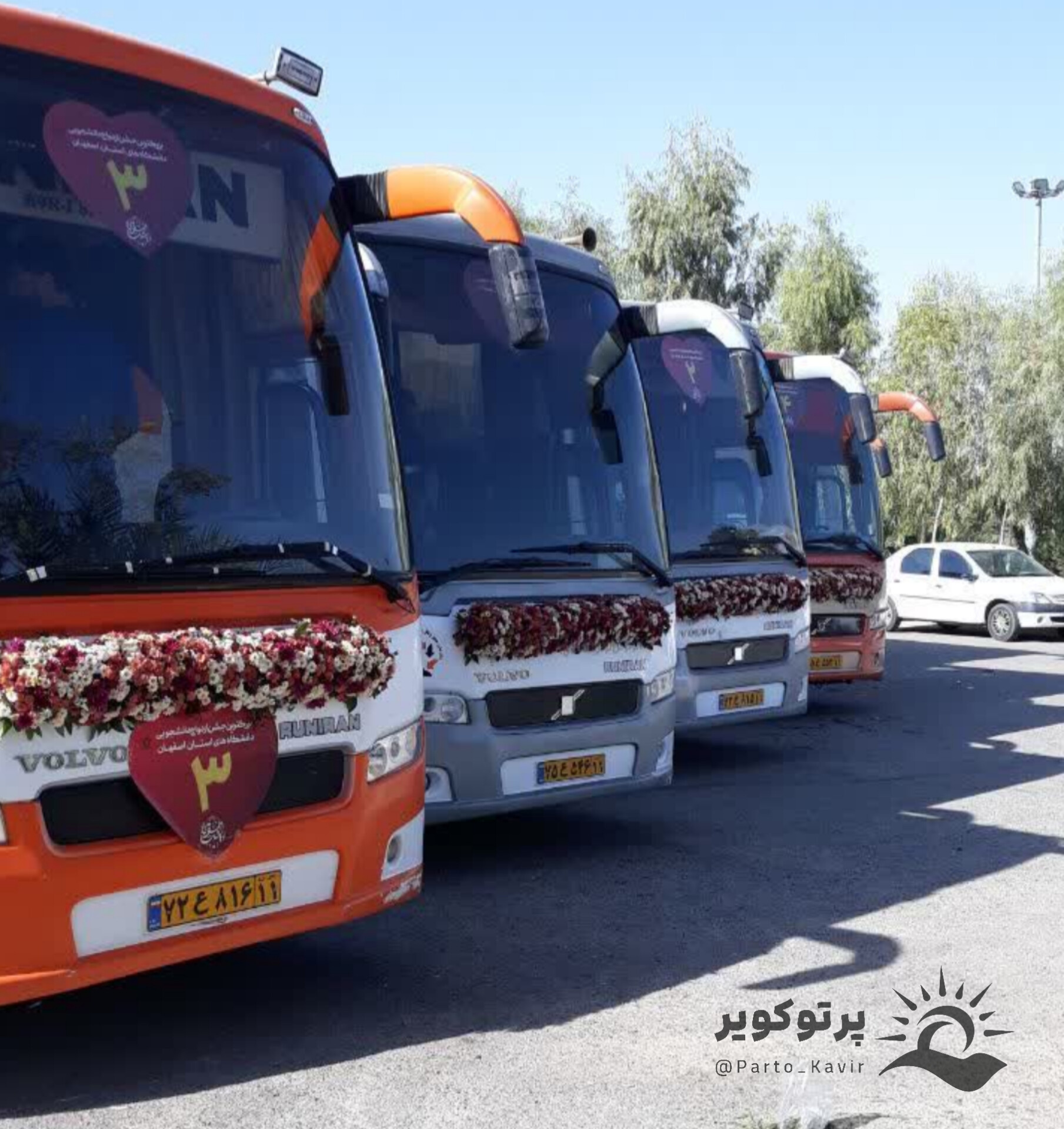 دانشجوی کاشان 