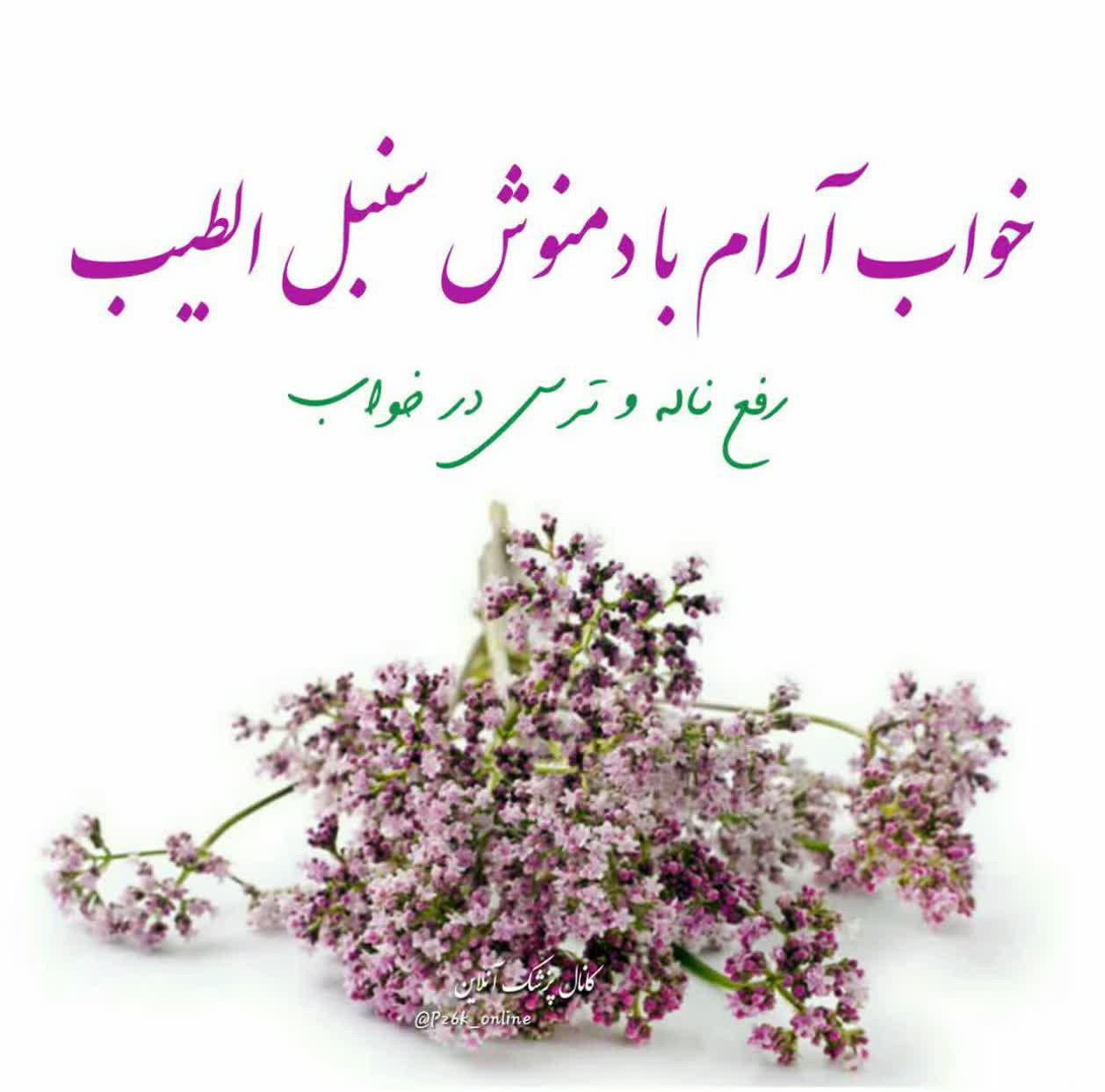 https://s6.uupload.ir/files/%D8%A7%D9%81%D8%B1%D8%A7%D8%AF_%D8%A8%D8%A7_njc.jpg