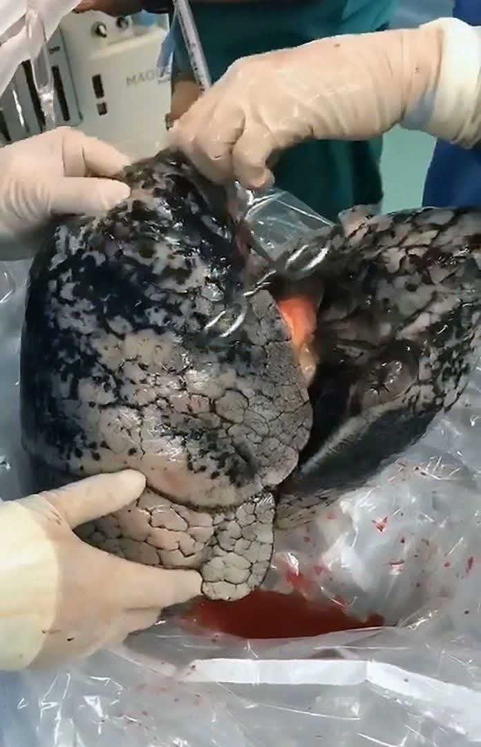 https://s6.uupload.ir/files/%D8%A7%DB%8C%D9%86_%D8%AA%D8%B5%D9%88%DB%8C%D8%B1_8z11.jpg