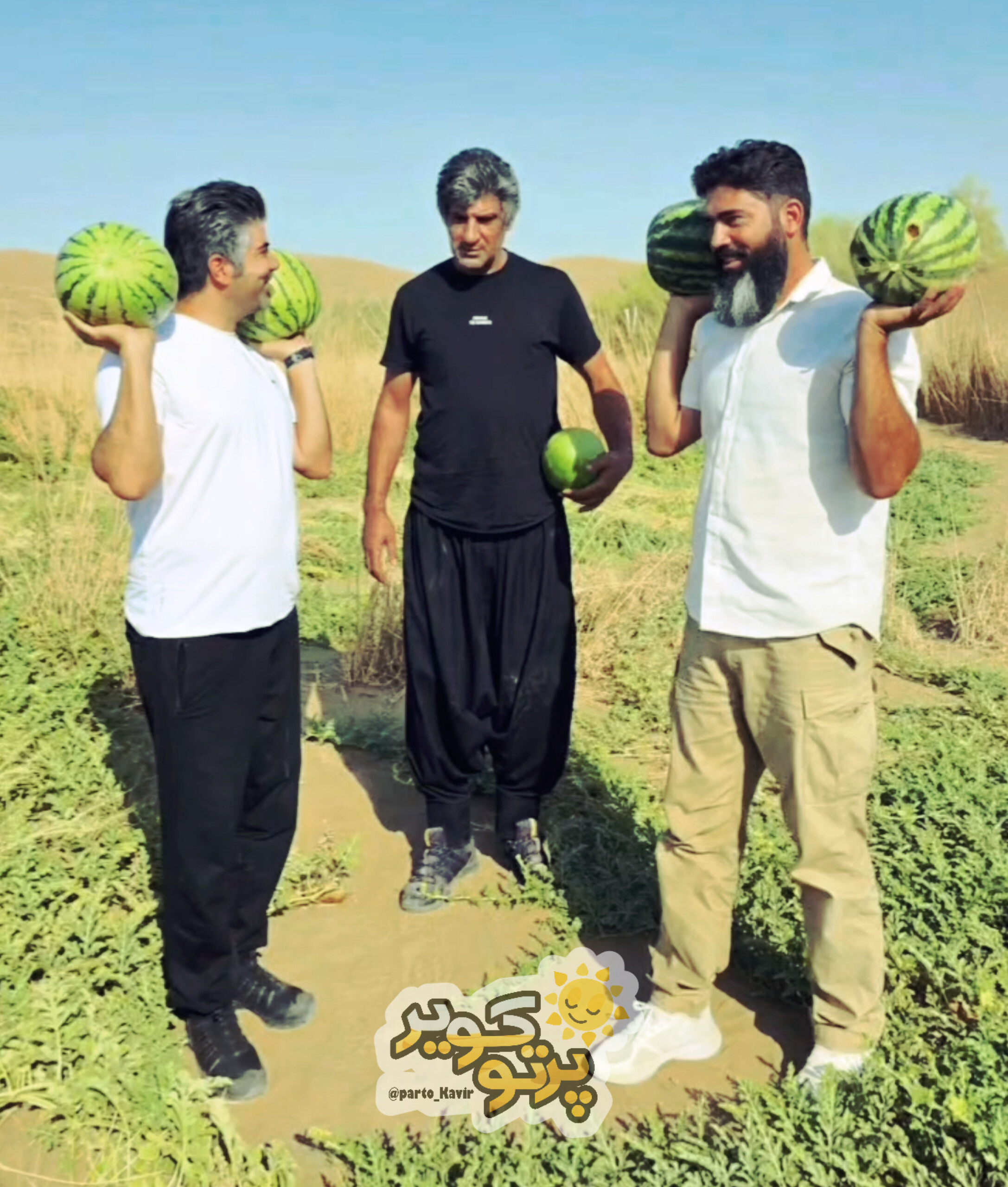 نخلستان باباپرویز 