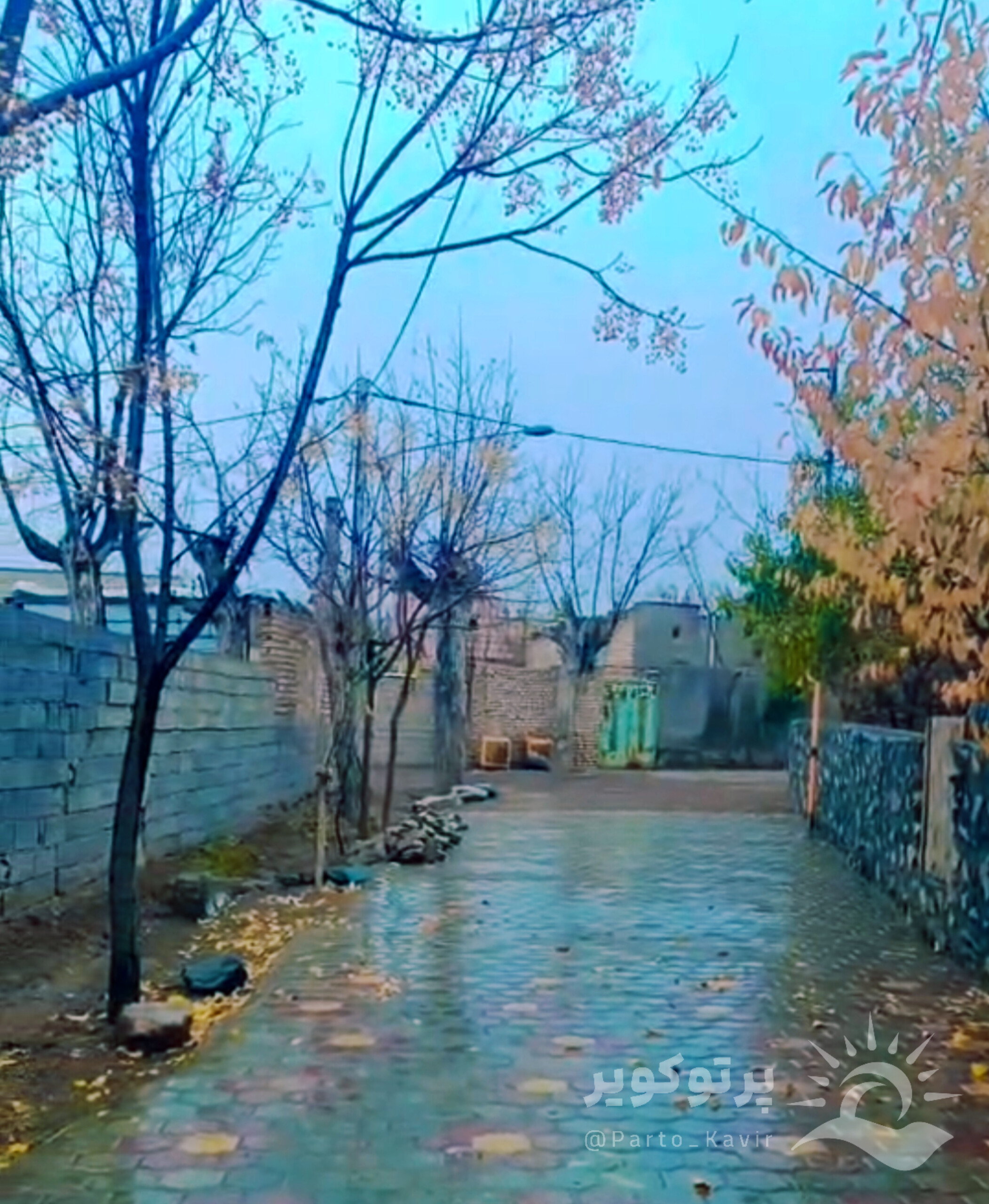 بارش باران در آران و بیدگل و کاشان 