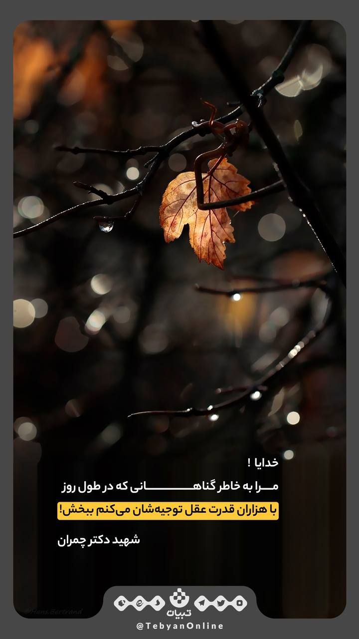 https://s6.uupload.ir/files/%D8%AE%D8%AF%D8%A7%DB%8C%D8%A7%D9%85%D8%B1%D8%A7_7gow.jpg