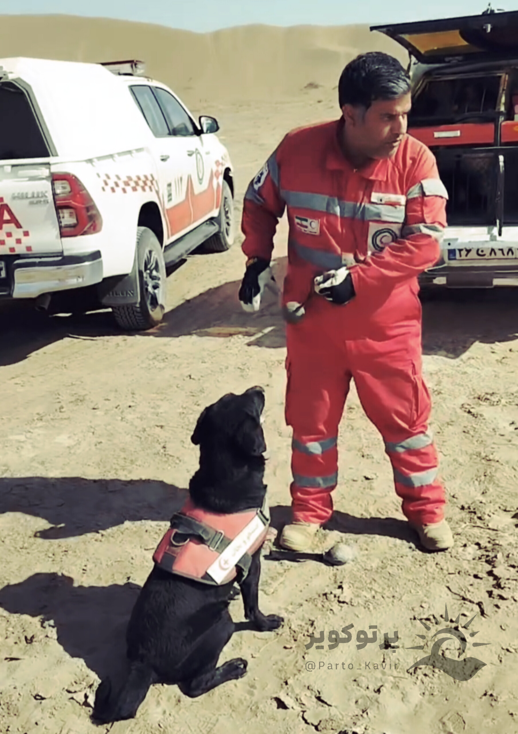 سگ های امداد و نجات و زنده یاب هلال احمر در کویر