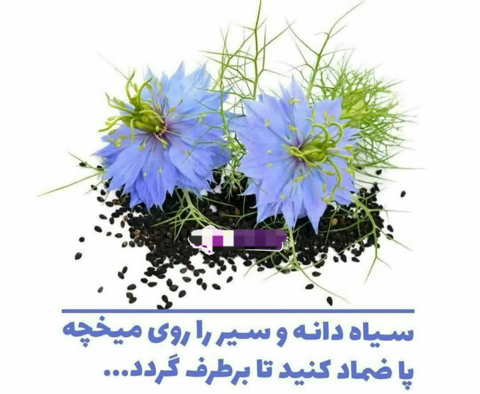 https://s6.uupload.ir/files/%D8%B3%DB%8C%D8%A7%D9%87%E2%80%8C%D8%AF%D8%A7%D9%86%D9%87_%D9%88_0obv.jpg