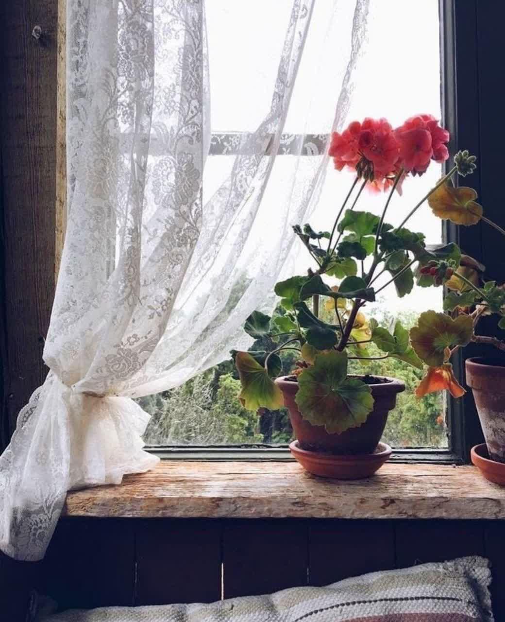 https://s6.uupload.ir/files/%D8%B4%D8%A7%DA%A9%D8%B1_g4v0.jpg