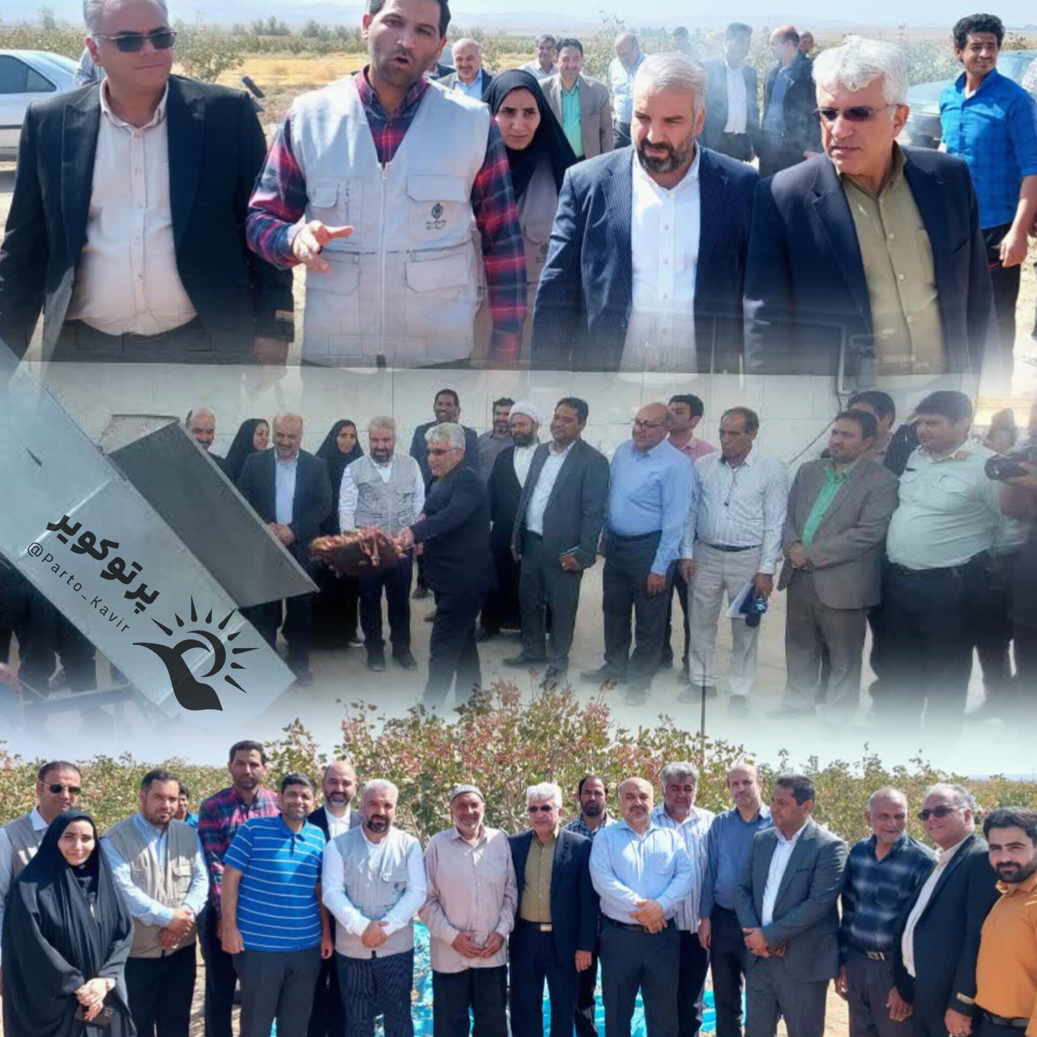 علوی