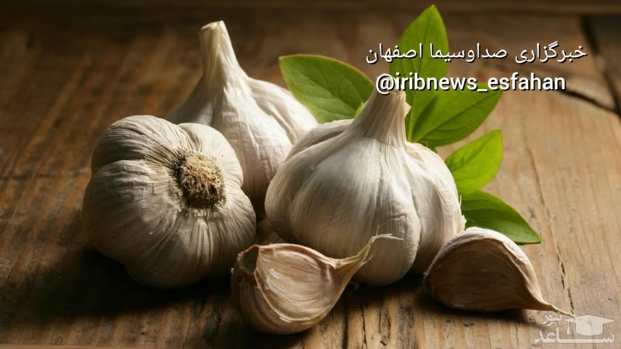 https://s6.uupload.ir/files/%D9%81%D9%88%D8%A7%DB%8C%D8%AF_%D8%AF%D8%B1%D9%85%D8%A7%D9%86%DB%8C_7191.jpg