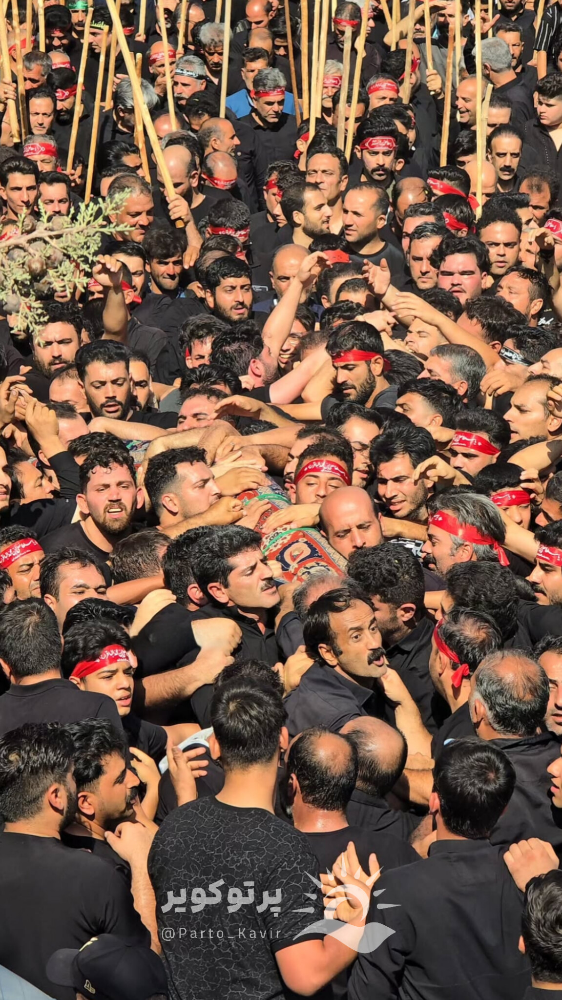 مراسم قالیشویان مشهد اردهال