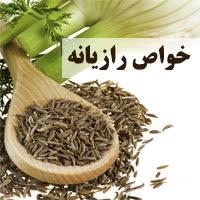 https://s6.uupload.ir/files/%D9%82%D9%88%DB%8C_%D8%AA%D8%B1%DB%8C%D9%86_fkb9.jpg