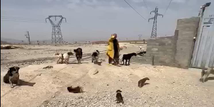 https://s6.uupload.ir/files/%D9%85%D8%A7%D8%AC%D8%B1%D8%A7%DB%8C_%D9%85%D8%B9%D8%AF%D9%88%D9%85_gj12.jpg