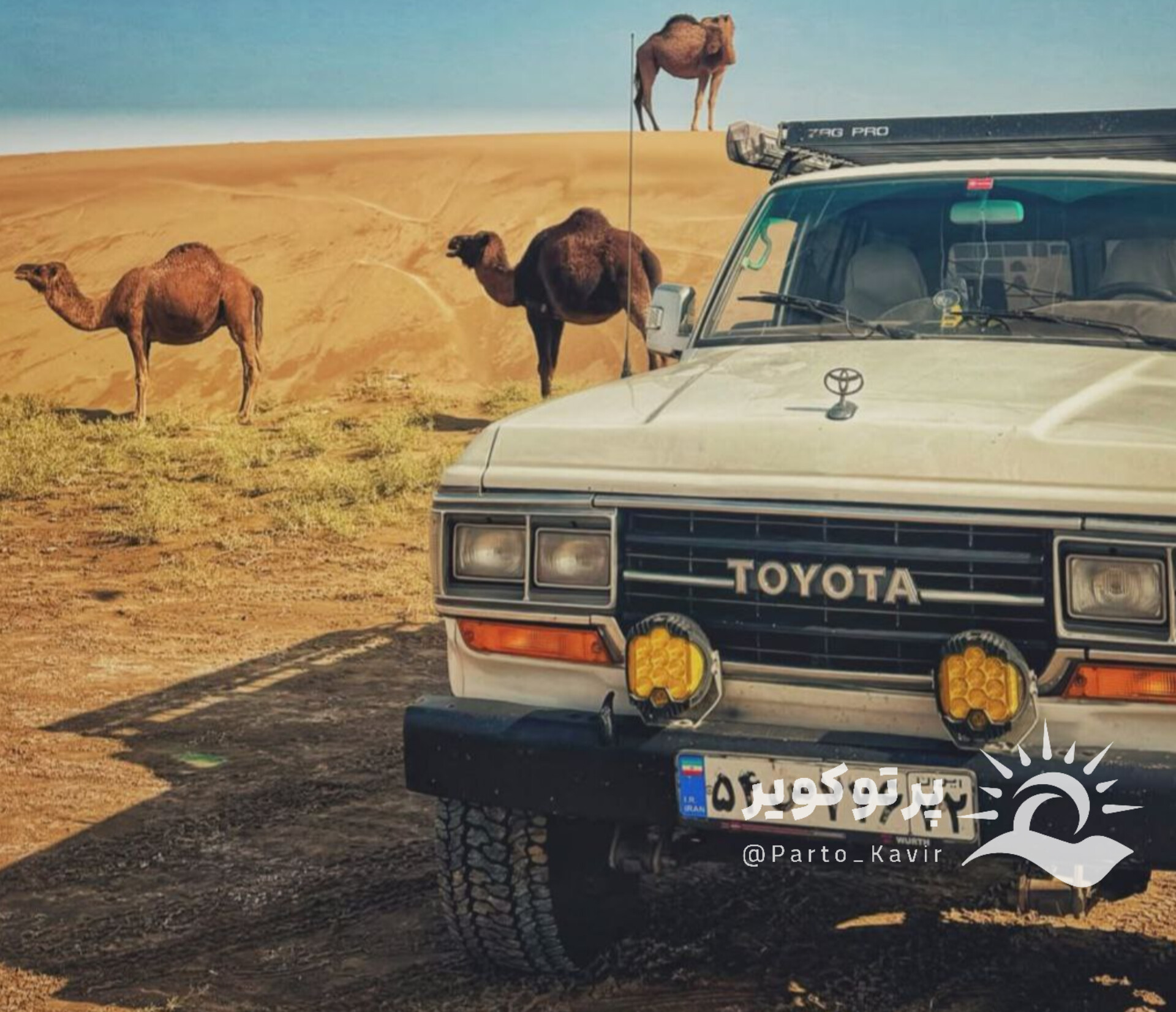 کویر مرنجاب 