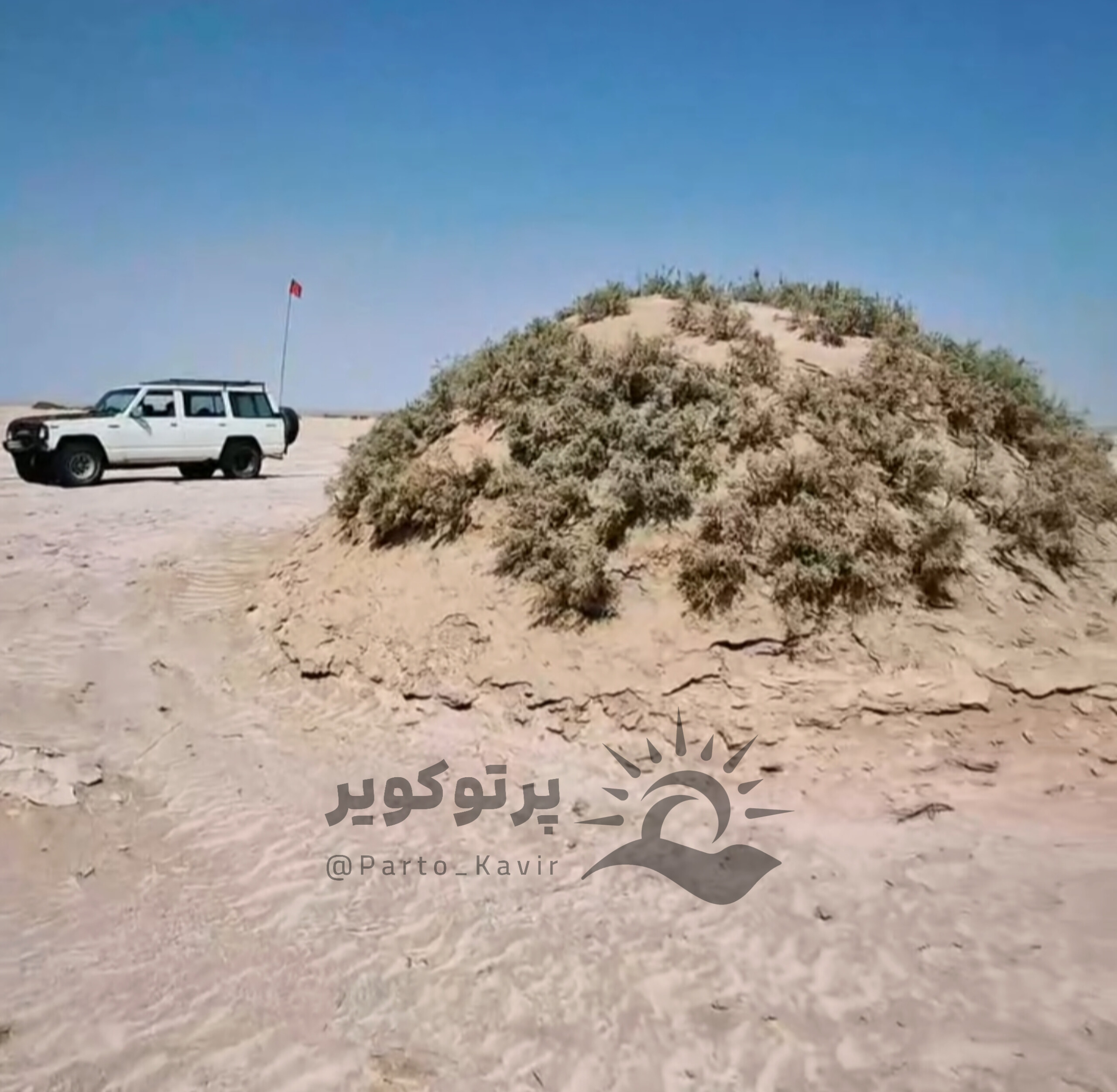 نبکا