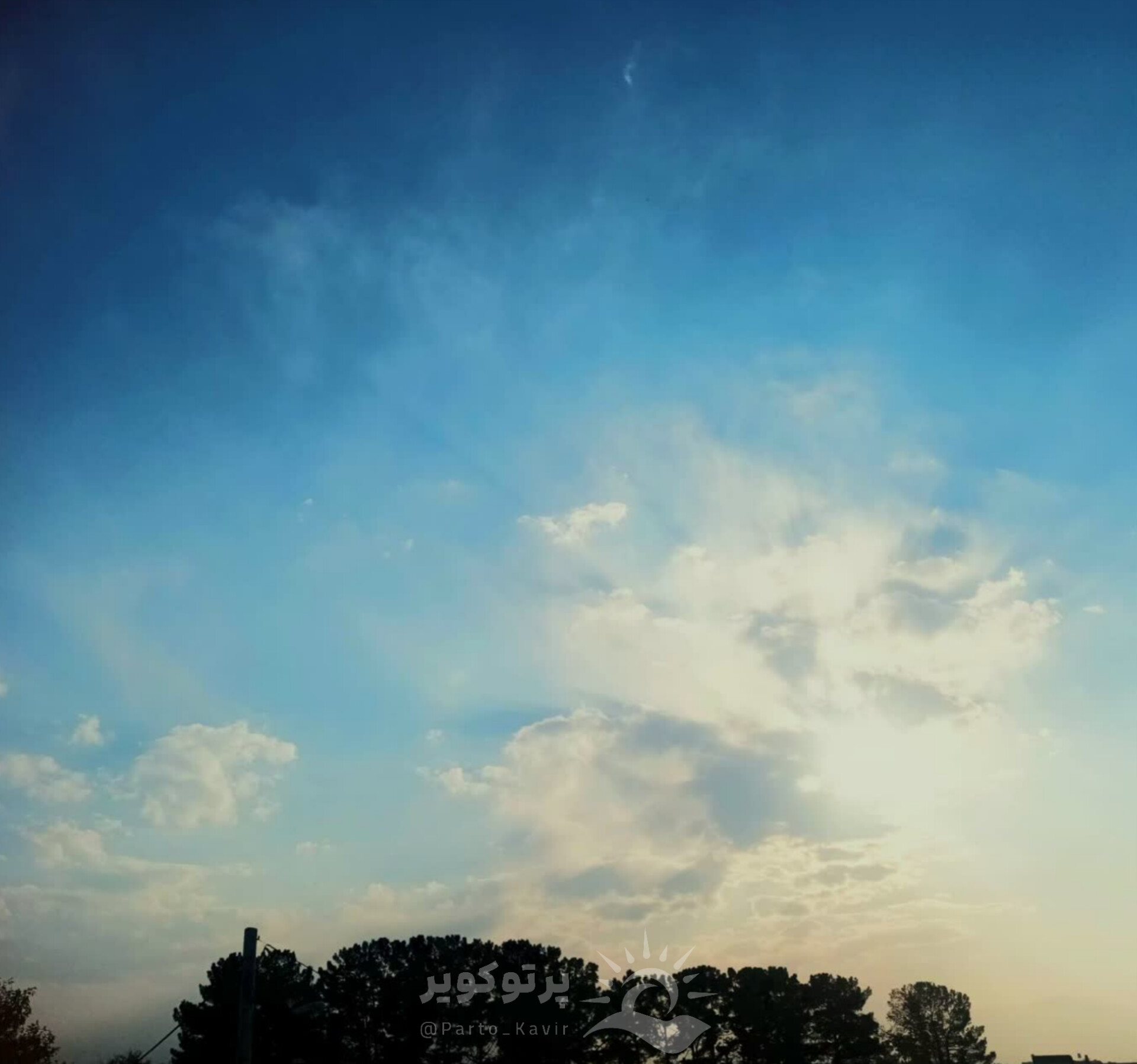 حنانه فینی زاده