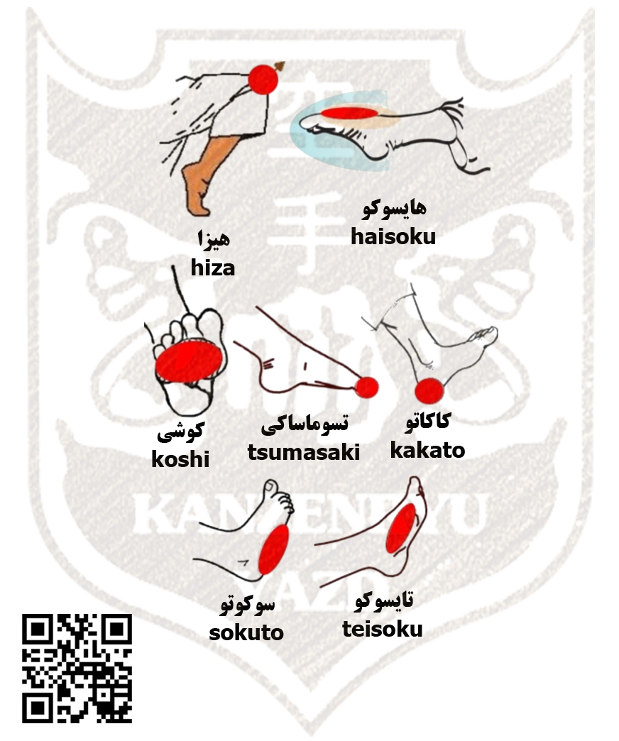 محمد جواد نبی زاده کان ذن ریو