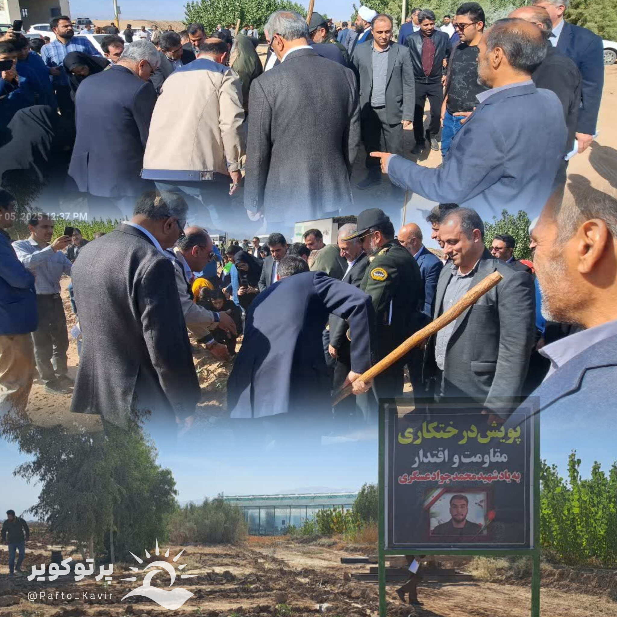 کاشت نهال به عنوان پویش درختکاری اقتدار و مقاومت در آران و بیدگل