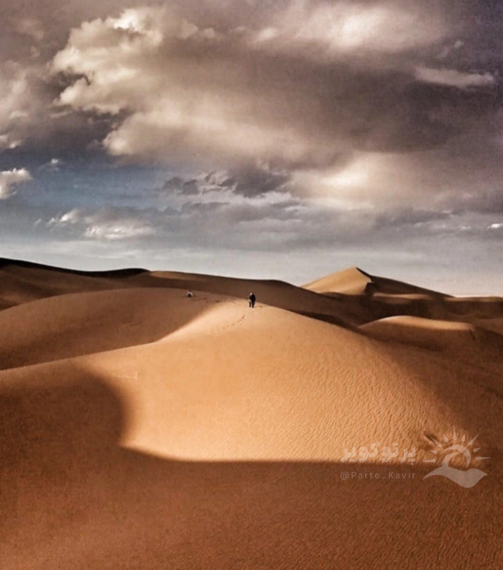 کویر بعد از بارندگی