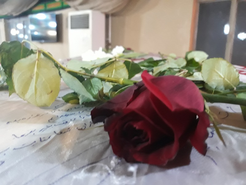 https://s6.uupload.ir/files/%DB%B2%DB%B0%DB%B1%DB%B8%DB%B0%DB%B7%DB%B2%DB%B0_%DB%B2%DB%B3%DB%B3%DB%B9%DB%B5%DB%B4_65kb.jpg