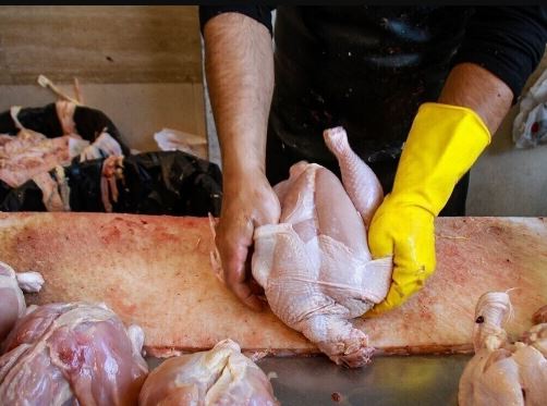 ایران خودکفا شد اما بازار مرغ هنوز گرفتار سنتی‌گری و نوسان قیمت‌ها