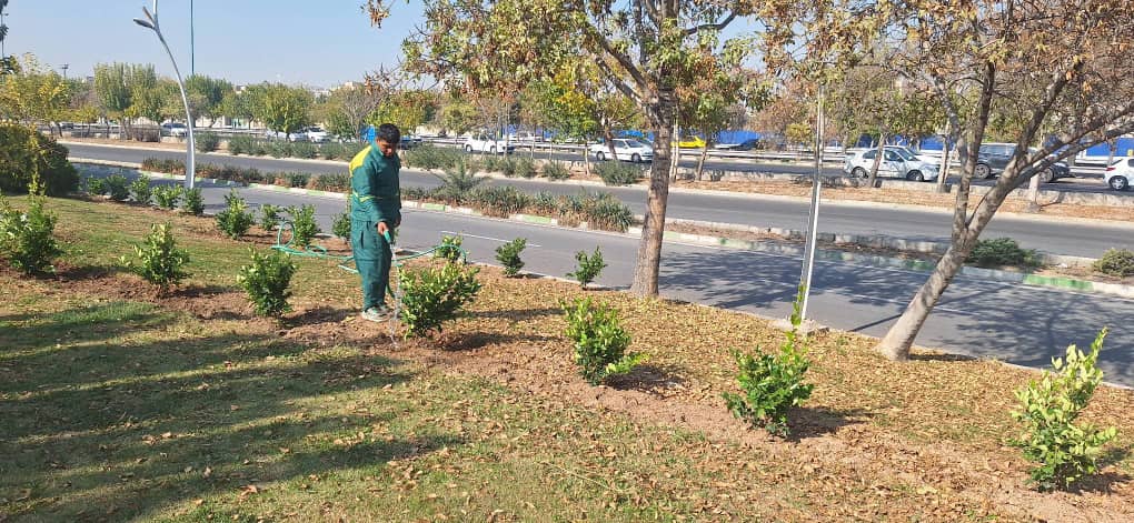 کاشت بیش از ۳۳ هزار اصله درخت و درختچه در منطقه ۱۹
