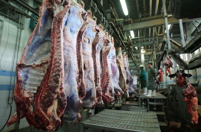 تولید ۵۰۰ هزارتن گوشت قرمز در۶ ماهه امسال/ دامداران حمایت می شوند