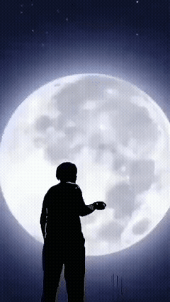  بوکس سلطان ورزشهاست 