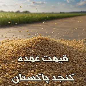 واردکننده کنجد پاکستان
