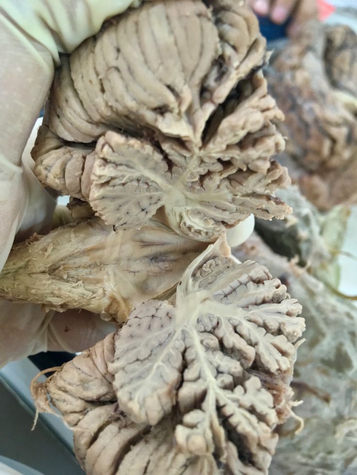 تو کی هستی؟