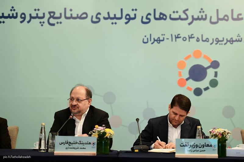 خصوصی‌سازی واقعی تنها راه توسعه صنعت پتروشیمی است / خصوصی‌سازی بدون تدبیر لازم، زنجیره یکپارچه صنعت پتروشیمی را متلاشی کرد
