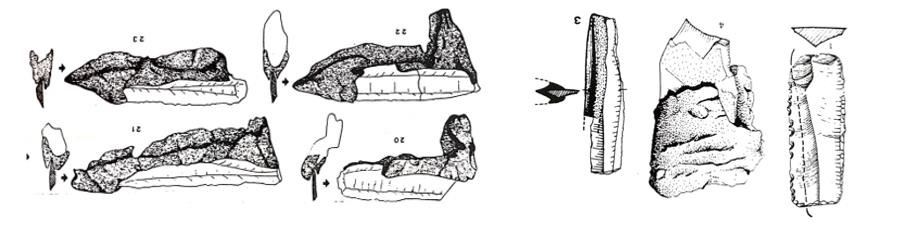 15771_7ljr.jpg