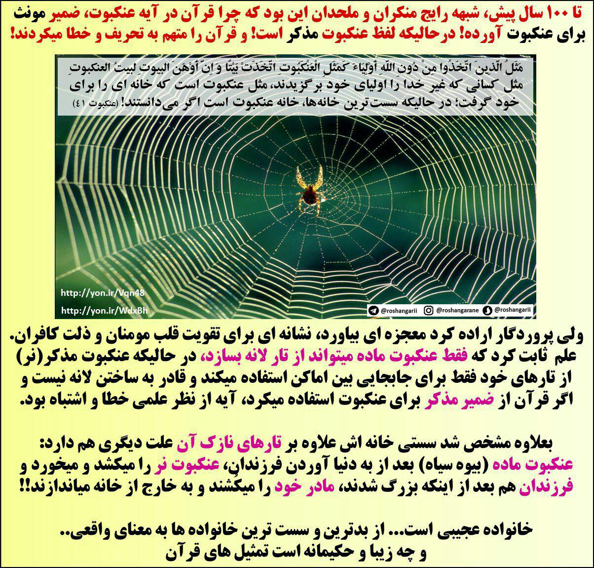 اسلامی که حضرت محمد (صلی االله علیه و آله) از طرف خداوند برای بشریت به ارمغان آورده ھمیشه زنده و پویا است.