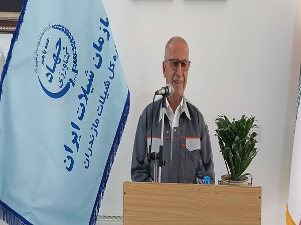 اسلامی 