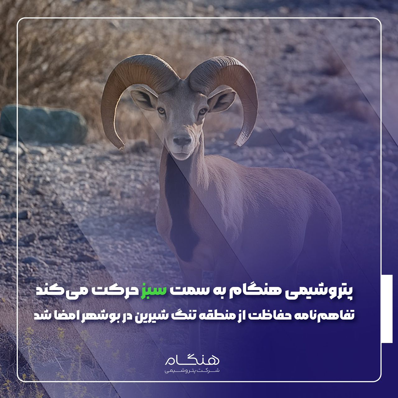 پتروشیمی هنگام به سمت سبز حرکت می‌کند؛ تفاهم‌نامه حفاظت از منطقه تنگ شیرین در بوشهر امضا شد