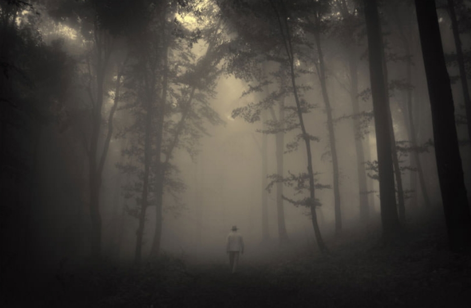 عکس مورد نظر پیدا نشد