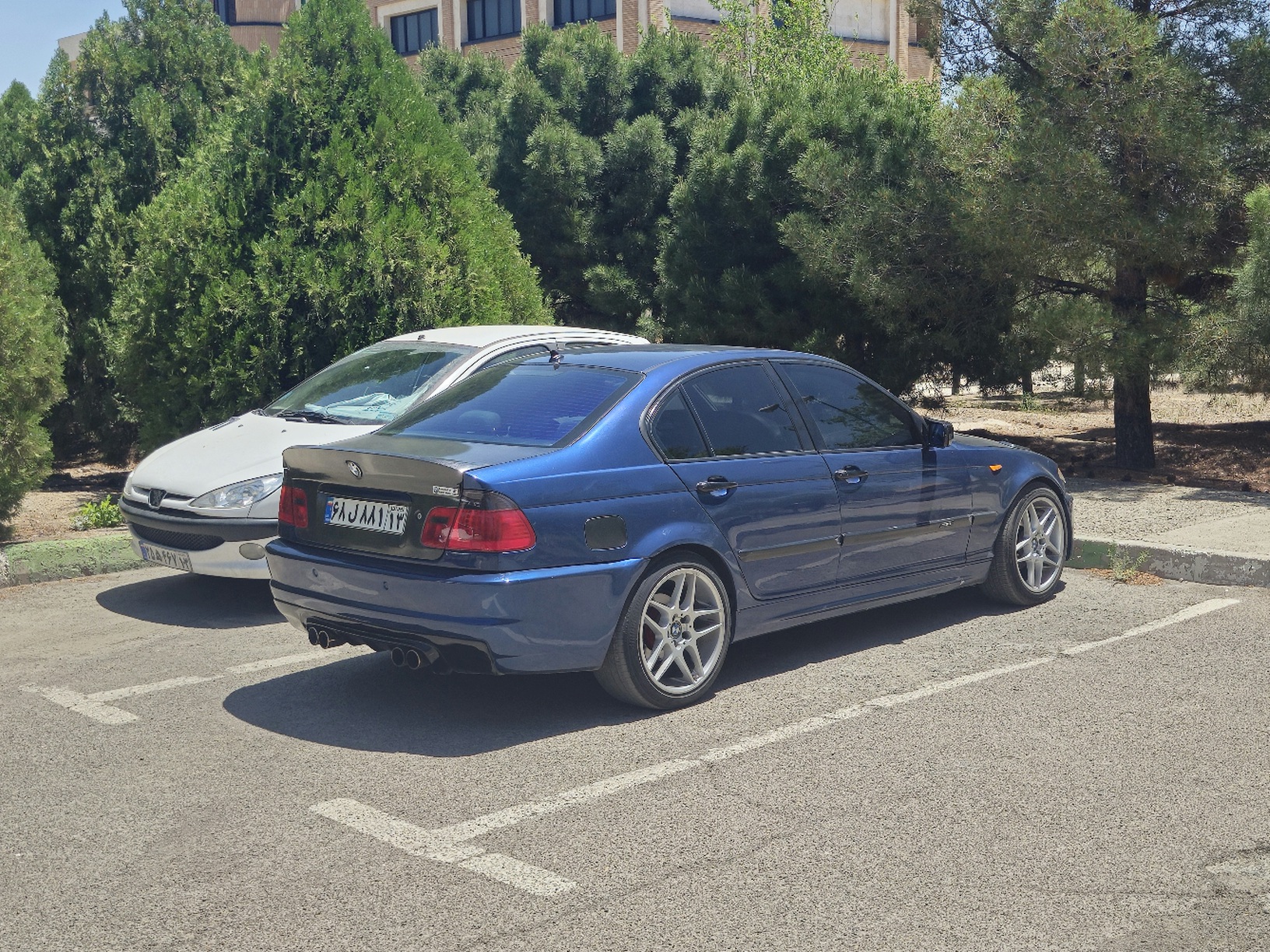 20250511_122329_hkjk.jpg