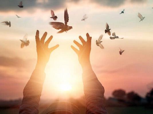 آزادی ۱۱۹ زندانی جرایم غیرعمد؛ ثمره مهربانی بی‌وقفه