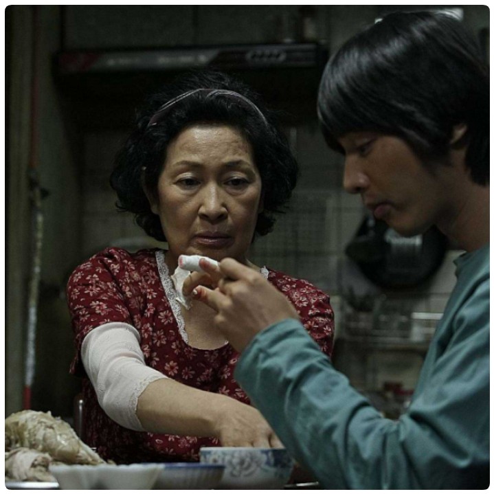 فیلم مادر2009