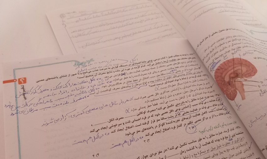 میدونی گربه ها جای هموگولبین چی تو خونشونه؟میوگلوبین