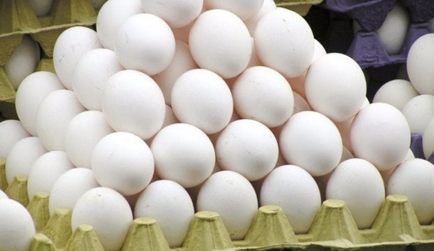 مرغداران با دپوی تخم مرغ در واحد‌ها رو‌به‌رو هستند