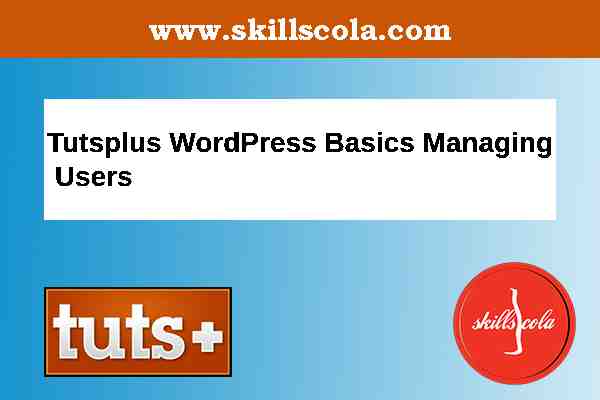 Tutsplus WordPress Basics