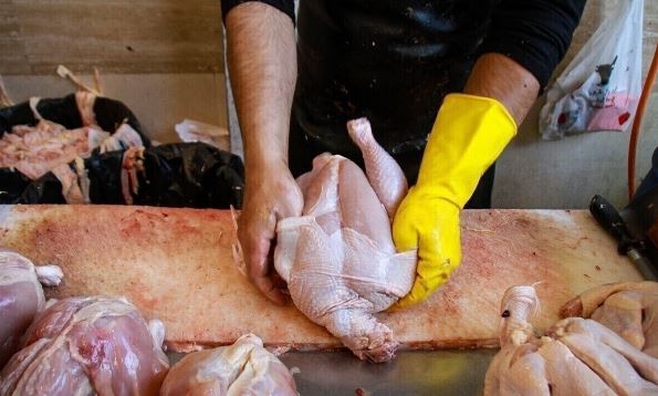 جوجه ریزی دی ماه به ۱۶۵ میلیون قطعه می‌رسد