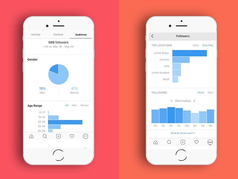 بخش فالوورها در insight