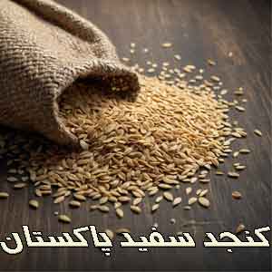 قیمت عمده کنجد پاکستان
