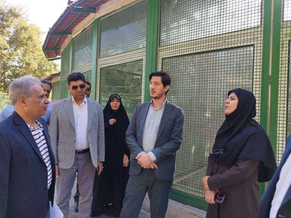 ضرورت معرفی اراضی بالای ۲ هزار متر برای احداث نیروگاه خورشیدی در تهران