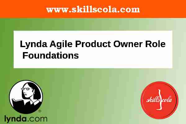 Agile Product Owner Role