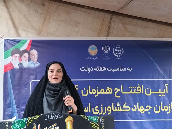 صفری جهاد 