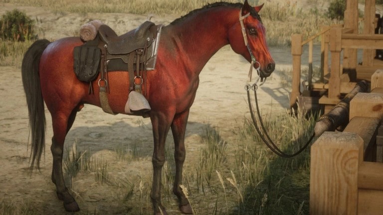 بهترین کدهای تقلب Red Dead Redemption 2 بهترین اسب در رد دد ردمپشن 2