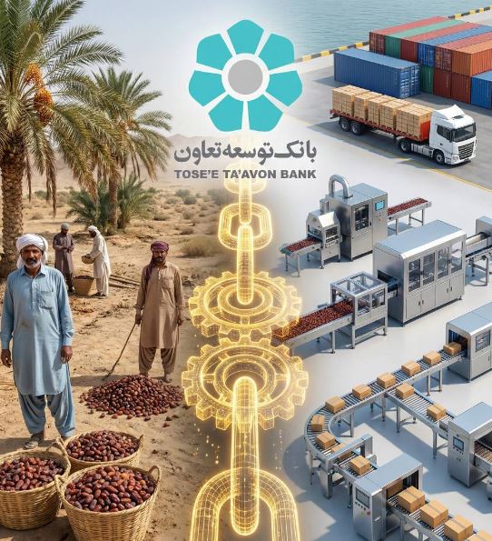 ابتکار عمل حاکمیتی وزارت تعاون، کار و رفاه اجتماعی با تبیین نقش عملیاتی بانک توسعه تعاون