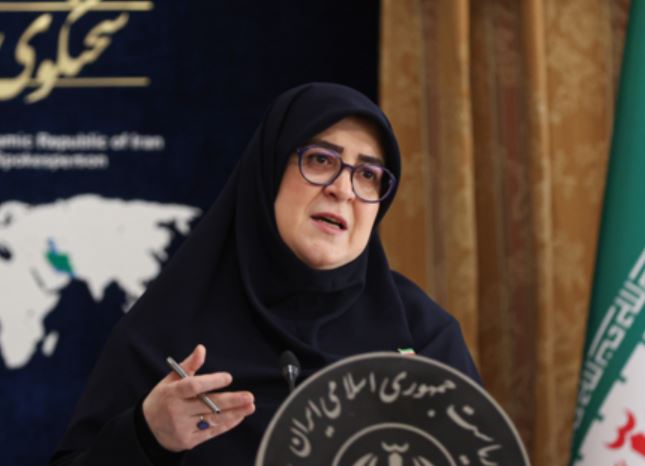 دولت هیچ تصمیمی برای حذف ارز ترجیحی کالاهای اساسی و دارو اتخاذ نکرده است