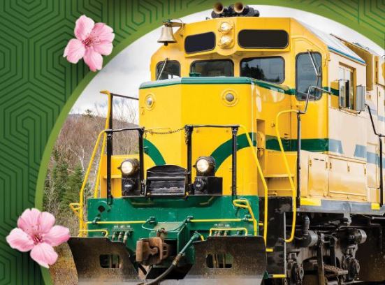 ثبت رکورد حمل ریلی محصولات فولاد مبارکه