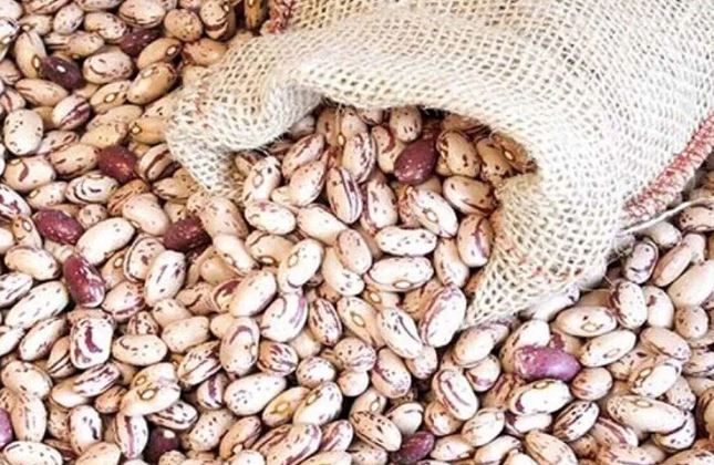 دلایل گرانی غیرعادی قیمت لوبیا چیتی